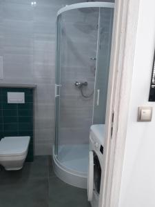 a bathroom with a shower and a toilet at Apartament do wynajęcia in Mikołajki
