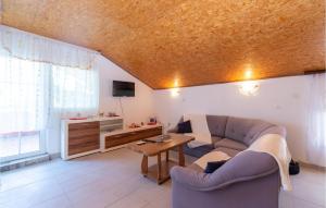 Μια τηλεόραση ή/και κέντρο ψυχαγωγίας στο Lovely Apartment In Benkovac With Wifi +16 φωτογραφίες