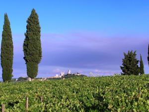 Afbeelding uit fotogalerij van Poggetto di Montese in San Gimignano