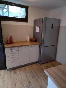 a kitchen with a stainless steel refrigerator and a counter at Holiday Home Jakovci in Netretić