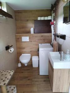 een kleine badkamer met een toilet en een wastafel bij Holiday Home Jakovci in Netretić