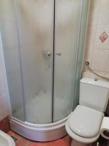 a bathroom with a shower and a toilet at Holiday Home Jakovci in Netretić