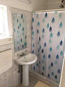 baño con lavabo y cortina de ducha en Green Tree Lodge, en Livingstone