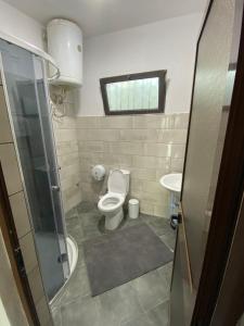 a bathroom with a toilet and a sink at North Gate Guest House and Camping in Shkodër