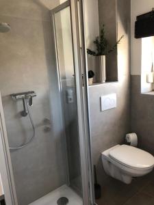 a bathroom with a shower and a toilet at Ferien im Herzen Bayerns 2 in Töging am Inn +23 photos
