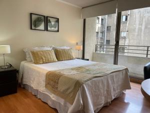 Gallery image of Barrio Lastarria, Excelentes Apartamentos - Sofia Camilla Propiedades in Santiago