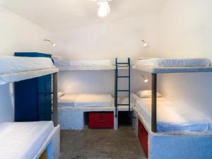 Divstāvu gulta vai divstāvu gultas numurā naktsmītnē Hostel Republika