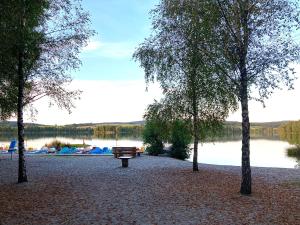 un parque con un banco frente a un lago en Villa Toskana Wohnung 1 en Wackersdorf
