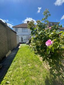 uma casa com uma roseira rosa no quintal em 3 bedroom house in Sutton em Morden