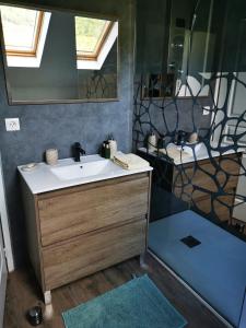 Au bord de Seille في Nevy-sur-Seille: حمام مع حوض ومرآة