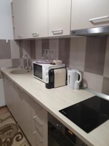 um balcão de cozinha com um micro-ondas e um lavatório em Apartament Cristian em Arad