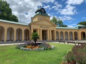 Vonkajšia záhrada v ubytovaní Villa Pazelt Top4
