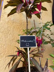 a small sign in front of a plant at Ona's House in Borsh
