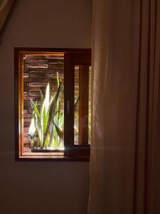 - une fenêtre dans une pièce avec une plante dans l'établissement Beach Eco Stays Hotel Boutique Lagoinha, à Paraipaba