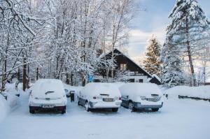 Privát - Harrachov 392 v zime