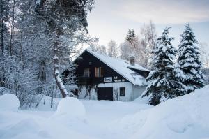 a house covered in snow next to some trees at Privát - Harrachov 392 in Harrachov