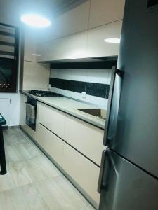 kuchnia z białymi szafkami i czarną lodówką w obiekcie Alex MNL w Bukareszcie
