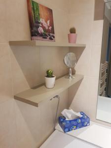 uma casa de banho com uma prateleira por cima de um WC em Beau appartement avec garage fermé em Beausoleil