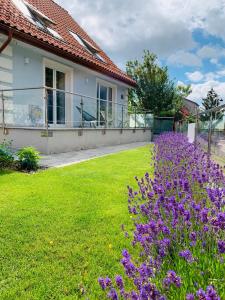 Vonkajšia záhrada v ubytovaní Lawendowe wzgórze Apartamenty