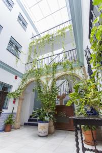 Ein Gebäude mit einem Haufen Topfpflanzen. in der Unterkunft Apartamentos Suites Santa Cruz in Sevilla