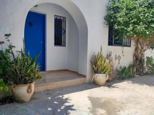 a blue door on a house with two potted plants at The Shell Of The Beach in Hammamet