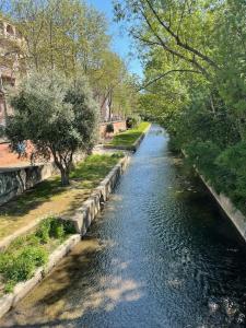 Príroda v okolí apartmánu