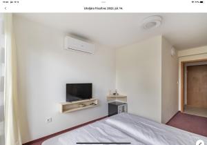 Televízia a/alebo spoločenská miestnosť v ubytovaní Sinus Prémium Aparthotel Siófok
