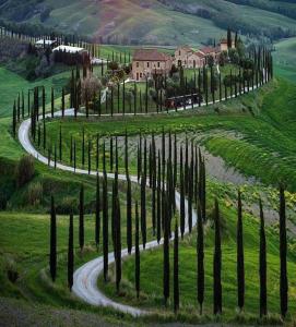 un camino sinuoso a través de un campo con cipreses en Il Girasole Terzuolo, en Manciano