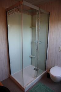 bagno con doccia in vetro e servizi igienici. di Kleene Geluk - Chambres et table d'hôtes a Saint-Jans-Cappel