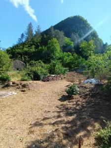 Fotografie z fotogalerie ubytování CASOLARE TROMBACCO v destinaci Vergemoli