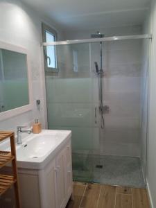 a bathroom with a shower and a sink at Maison landaise rénovée avec charme in Lit-et-Mixe +19 photos