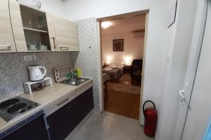 Kuchyň nebo kuchyňský kout v ubytování Studio Apartman Škudar