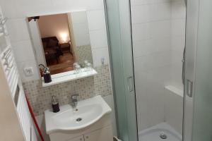 La petite salle de bains est pourvue d'un lavabo et d'une douche. dans l'établissement Studio Apartman Škudar, à Bjelovar