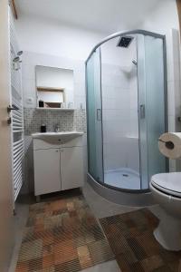 W łazience znajduje się prysznic, umywalka i toaleta. w obiekcie Studio Apartman Škudar w mieście Bjelovar