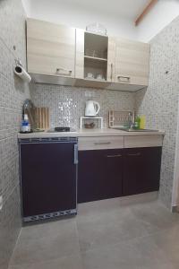 Kuchyňa alebo kuchynka v ubytovaní Studio Apartman Škudar + 7 fotografií