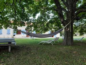 a hammock hanging from a tree in a park at Maison de campagne sud-ouest CARBONNE en OCCITANIE in Carbonne +16 photos