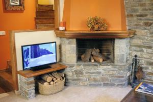 sala de estar con chimenea de piedra y TV en Apartamentos Valle de Aran, en Mont