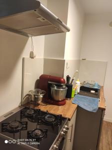 Η κουζίνα ή μικρή κουζίνα στο Apartament nad Dunajem