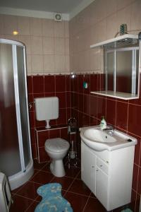 ein Bad mit einem WC, einem Waschbecken und einer Dusche in der Unterkunft Ludas Fogadó in Nagyalásony