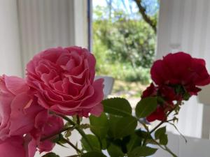 Zahrada ubytování Holiday home Skärhamn VII