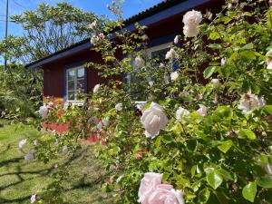 Zahrada ubytování Holiday home Skärhamn VII