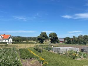 Zahrada ubytování Holiday home Skärhamn VII
