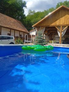 un idraulico verde in una piscina in una casa di Kiscsermely Vendégház a Jósvafő