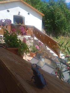A balcony or terrace at Kiscsermely Vendégház