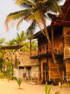 a wooden house on the beach with a palm tree at Palm Beach Hostal in Santa Marta