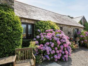 a bush of purple flowers in front of a house at Coach House Cottage in Bude