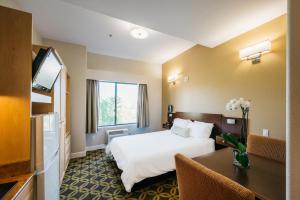 Gallery image of Studios Inn in San Jose