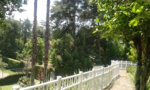 a white fence in front of a garden with trees at Pousada Matitaterê in Teresópolis