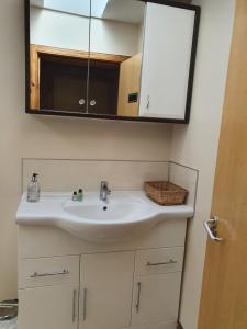インバネスにあるNelson Street Apartmentのバスルーム(白い洗面台、鏡付)