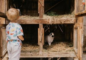 a young boy looking at a goat in a barn at HOFERHOF Schladming -Dachstein in Schladming